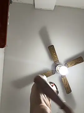 Luck  090 online show from November 11, 1:43 am