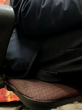 bmwe71 online show from November 27, 1:15 pm