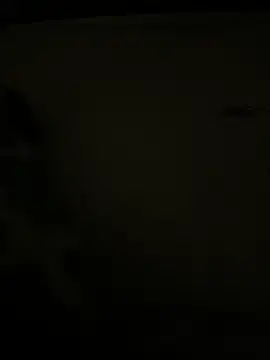 Snapshot of Alex_719100 chatting on October 25, 7:32 am Alex 719100 online show from October 25, 7:32 am