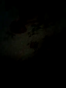 SummerArthur online show from October 19, 9:18 pm