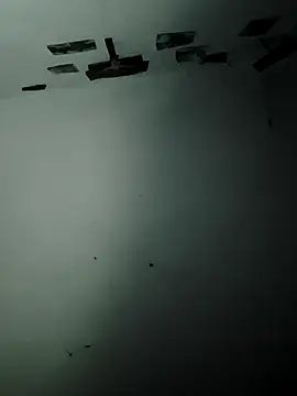 Ferxxxo1503 online show from February 6, 7:38 am