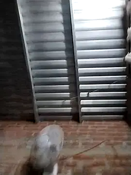 Mau3450 online show from October 13, 2:17 am