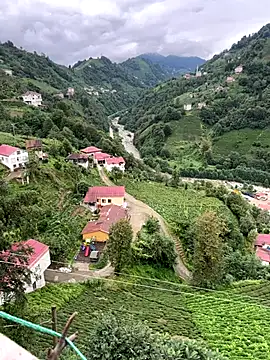 LAZ3R1 online show from October 2, 10:30 am