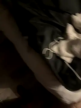 dlasian2026 online show from September 15, 10:44 pm