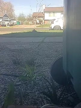 matatan0323 online show from March 29, 4:29 pm