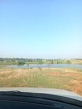 AgitatedStrip9 online show from October 11, 2:15 am