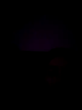 haze1233 online show from October 29, 2:14 am