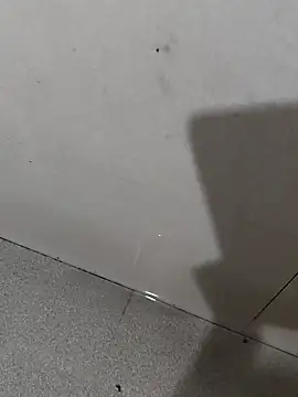 Anjusex333 online show from October 5, 1:15 pm