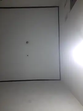 wibunewbie online show from December 18, 3:52 pm