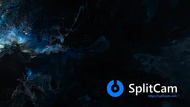 bull419M online show from December 21, 2:03 pm