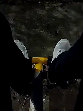 roludao fun online show from December 19, 10:17 pm