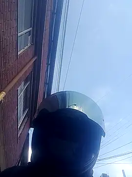 DenotedCattle97 online show from November 7, 8:45 pm