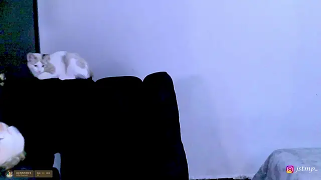 jhon mendoza  online show from November 24, 3:07 am