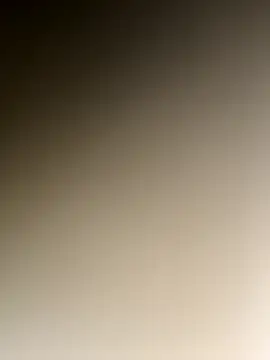 gitanoMad online show from November 21, 11:59 pm