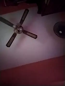 Danii2005 online show from December 15, 1:30 pm