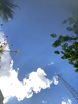 Bkackmamba online show from November 10, 5:18 pm