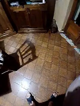 pino870 online show from January 14, 10:57 pm