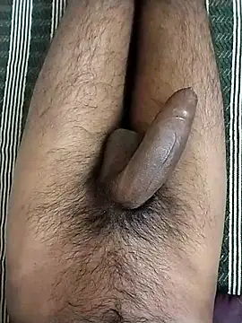 ChennaiTamilboi online show from December 1, 4:43 pm