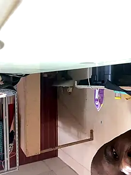 Ndodemnyamaxh online show from November 29, 4:25 am