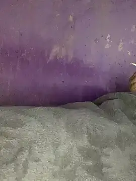 hotman29 online show from November 26, 11:08 pm