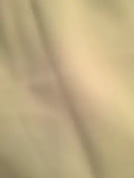 Militar17cm online show from November 10, 3:11 am