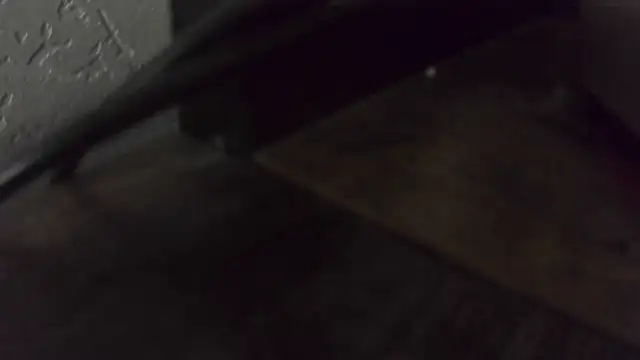 Chrisatmiami online show from November 16, 6:54 pm