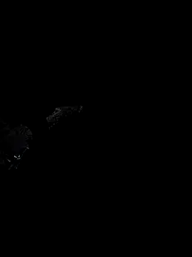 arcacsel online show from November 30, 10:56 pm