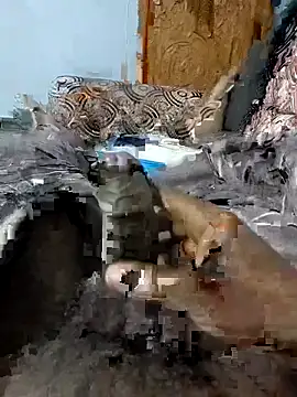 spermc online show from February 6, 4:48 pm