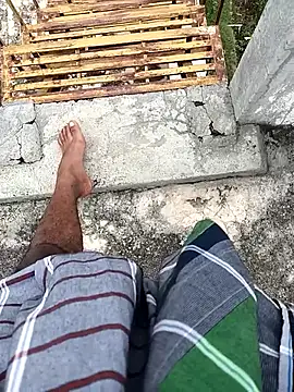 tamilbbc1 online show from November 28, 5:32 am