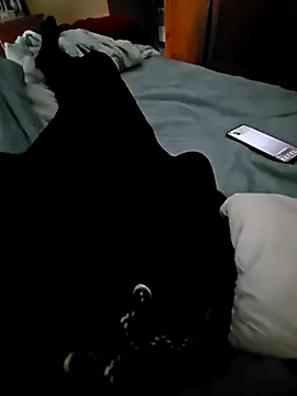 Raika25 online show from November 26, 3:26 pm