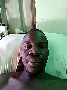 pdck2025 online show from November 22, 6:46 am