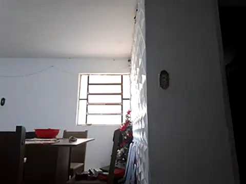 gymratbr online show from December 21, 1:08 pm