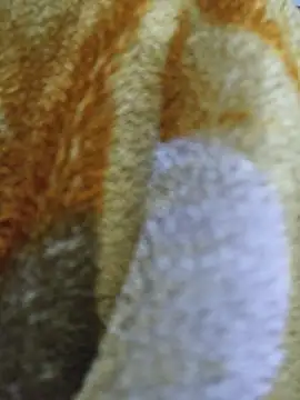 luckyutube online show from December 21, 3:31 pm