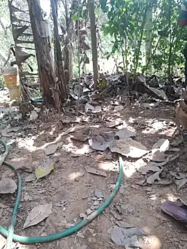 smgrtamil online show from February 24, 6:03 am