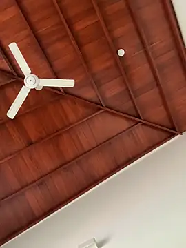 Dahan99346 online show from December 18, 6:20 am