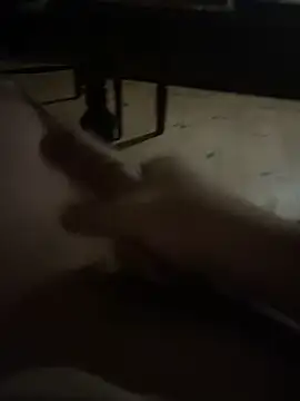 Ragazzopo online show from February 27, 1:51 am