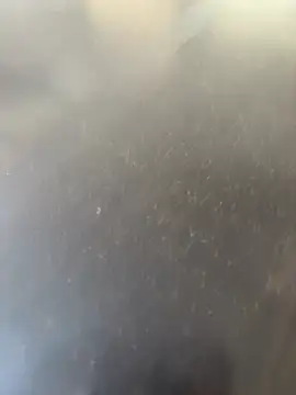 vmmalto online show from March 5, 9:27 am