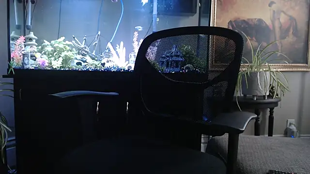 EspanolVato online show from April 3, 11:12 pm