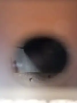 NIGHTKING70 online show from January 16, 5:38 pm