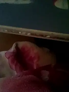 thich lo online show from January 15, 6:17 am