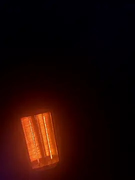 pippobase online show from January 10, 1:33 am