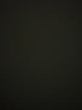 Kalisto2026 online show from April 16, 5:46 pm