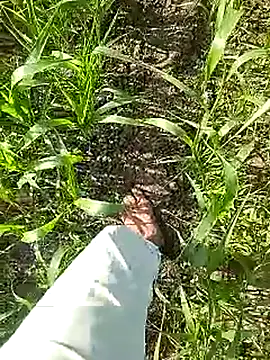 Cute Boy 4 online show from April 13, 3:29 am