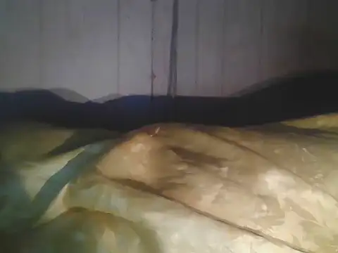 Prikev38452 online show from April 11, 7:45 am