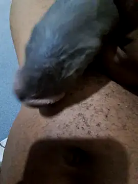 Teddytroue online show from April 13, 5:57 pm