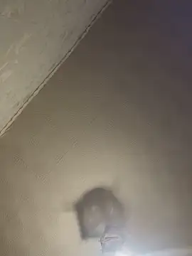 Nemont online show from March 7, 5:33 pm