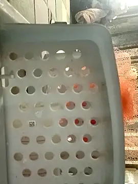 Henry20099 online show from April 17, 6:32 pm