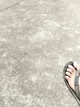 collboy8166 online show from February 16, 6:11 am