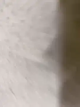 chennai sexyboy online show from February 8, 4:33 pm