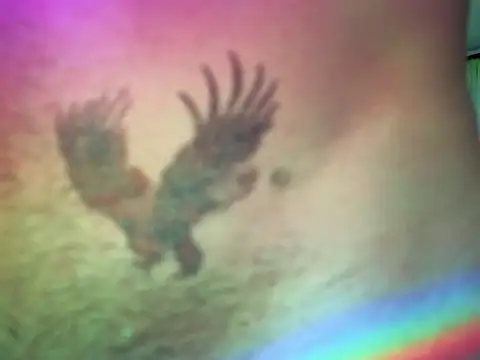 matidick 23cm online show from March 1, 6:24 am